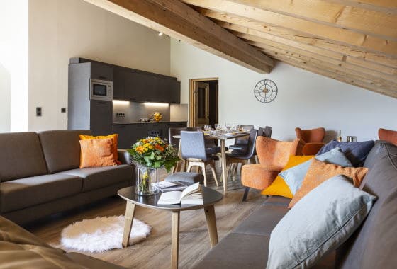 4 bedrooms + cabin + sauna – image 1